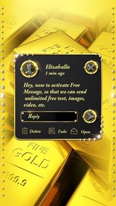 (FREE) GO SMS GOLD&#8545; THEME