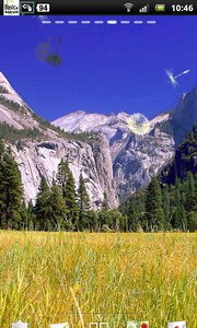 Pretty Yosemite National Park