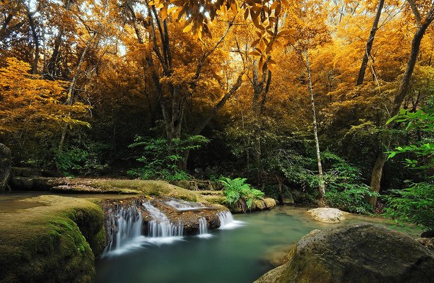 Stream Waterfall