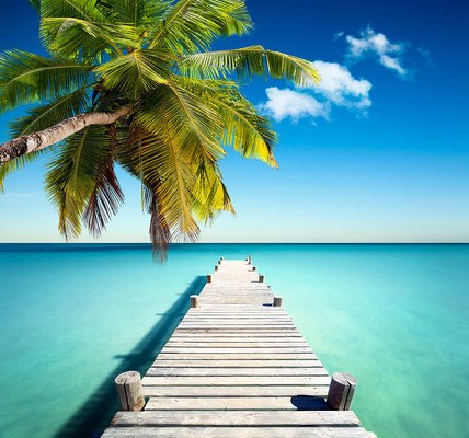 Tropical Jetty