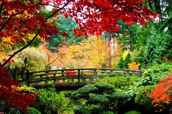 Autumn Garden Bridge