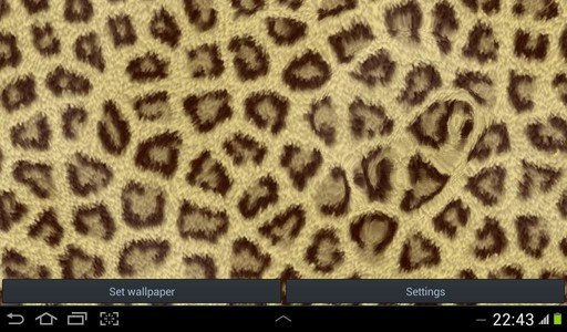 Cheetah Wallpapers for Free