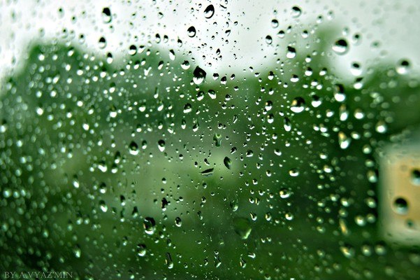 Rain Drops
