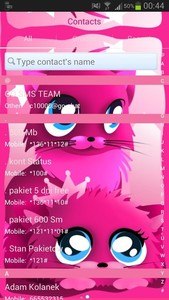 Pink cats theme 4 GO SMS Pro