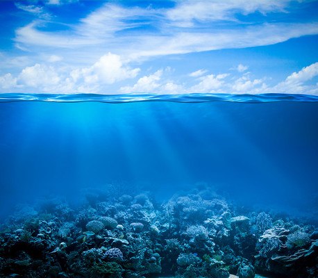 Underwater Coral