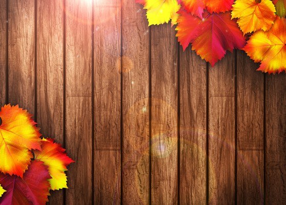 Autumn Wooden Background