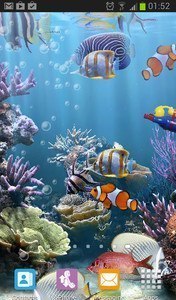 The real aquarium - HD