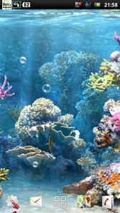 underwater coral reef LWP