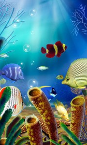 Aquarium Live Wallpaper (free)