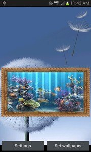 mini Fish Tank