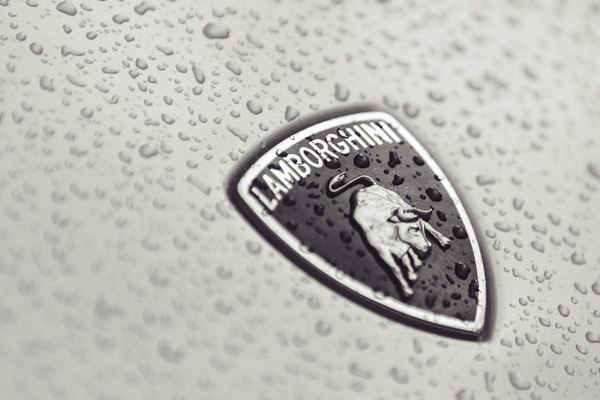 Wet Lamborghini Badge