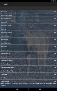 Whitetail Deer Calls