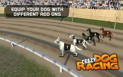Crazy Dog Racing