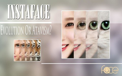 InstaFace:face eyes morph