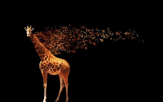 Audio Giraffe