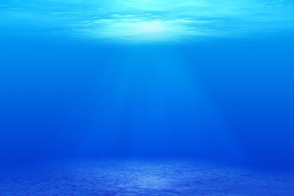 Underwater Calm