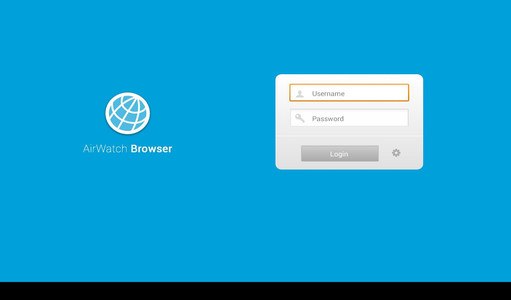 AirWatch Browser