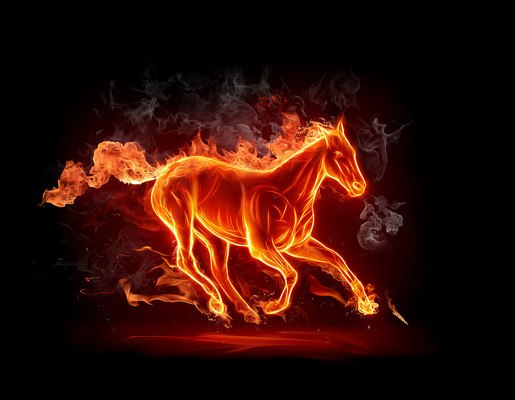 Fiery Horse
