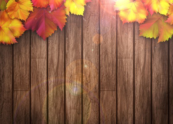 Autumn Leaves On Wooden Background