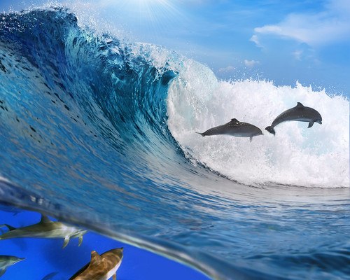 Dolphins Swimming With Waves
