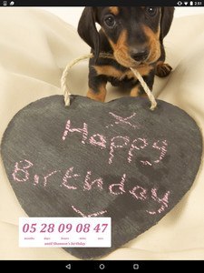 Birthday Countdown Widget