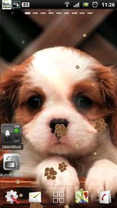 Puppy Dog live wallpaper