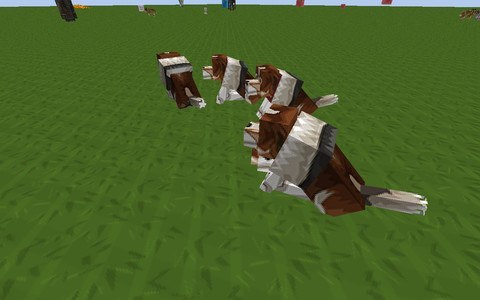 Pet Mods For Minecraft