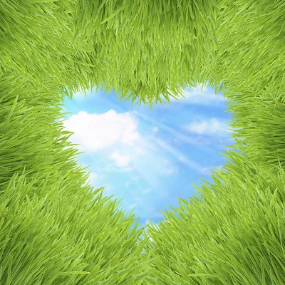 Grass Love Heart
