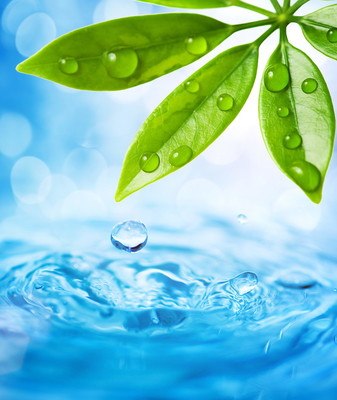 Water Droplets