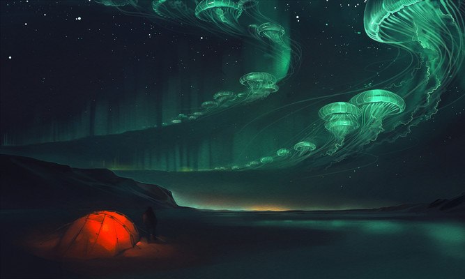 Northern Lights Jellyfish Art