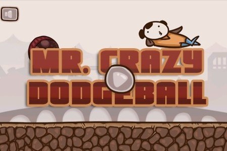 Mr. Crazy DodgeBall