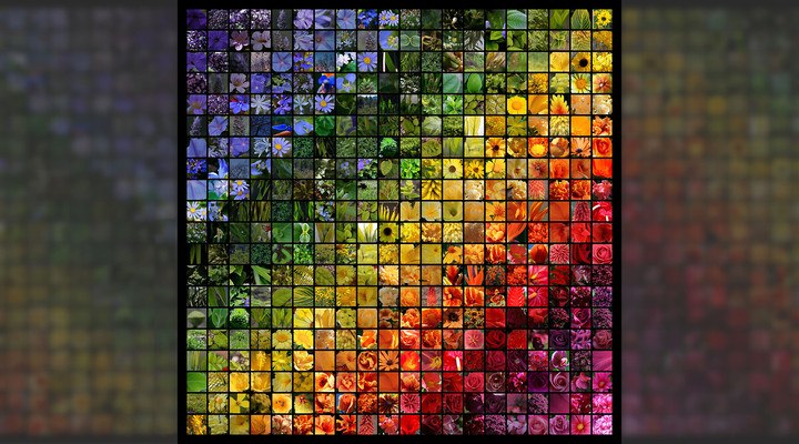 Colorful Flower Mosaic