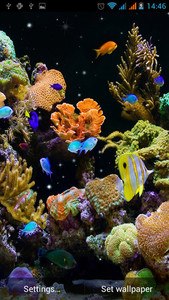 Aquarium Live Wallpaper