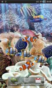The real aquarium - LWP