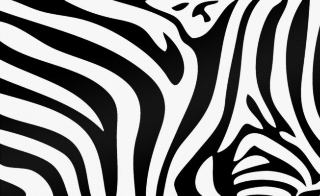 Zebra Design