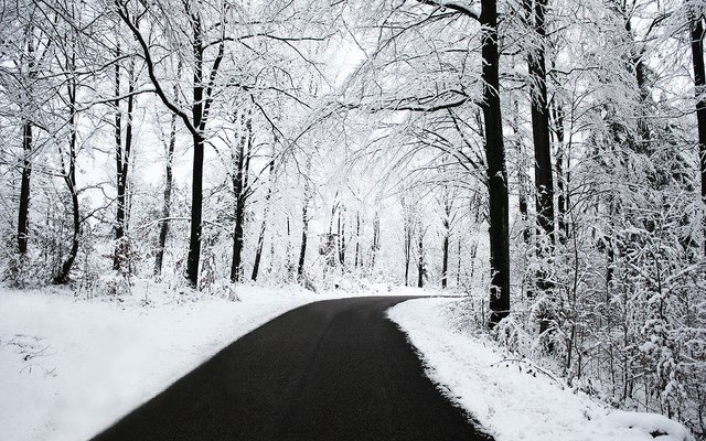 Cold Winter Road