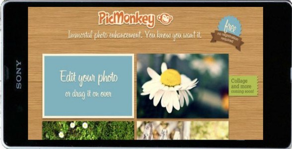 PicMonkey Photo Editing