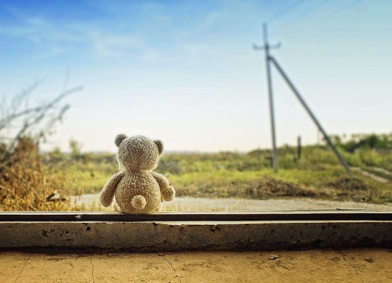 Teddy In The Window