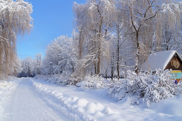 Russian Winter Road