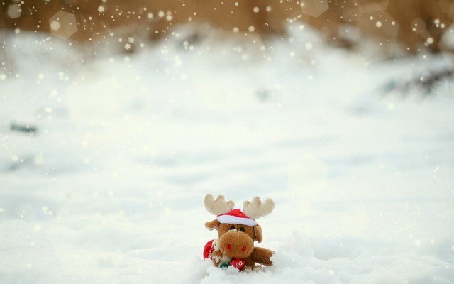 Reindeer Toy