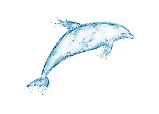 Dolphin Water