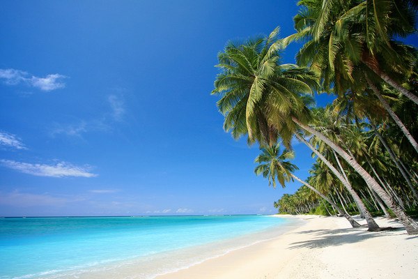 Bora Bora Beach