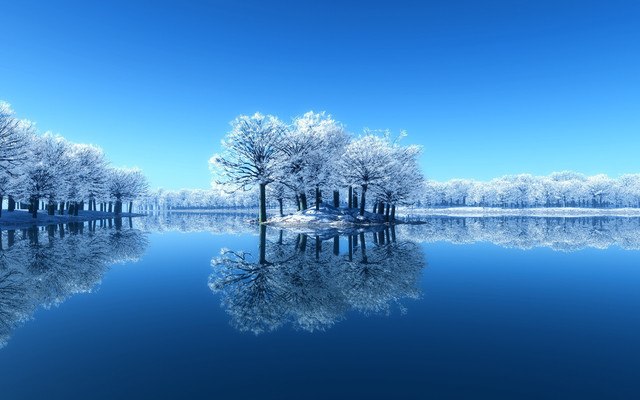 Frozen Trees On Lake