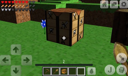 Multicraft: Pro Edition