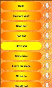 Talk To Your Cat