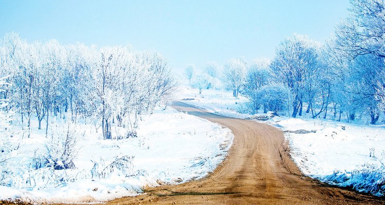 Road During Winter