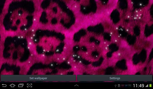 Cheetah Wallpapers for Free