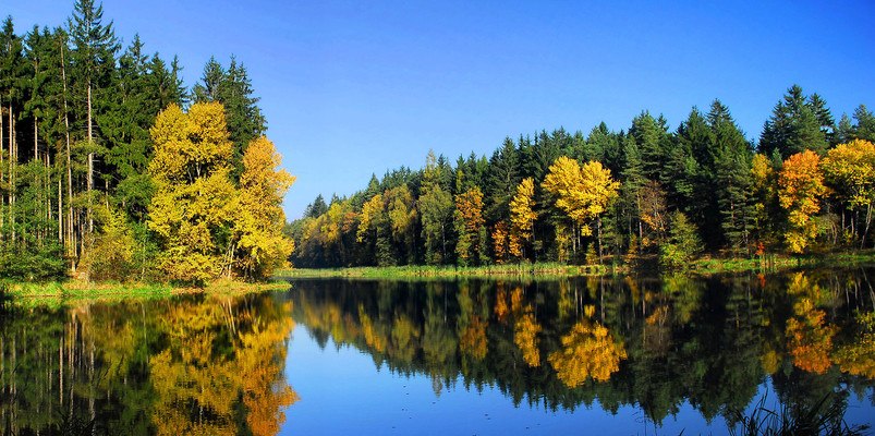 Peaceful Autumn Lake
