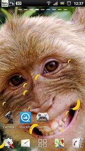 Free monkey live wallpaper