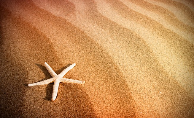 Starfish Sand